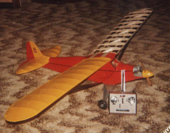 The radio-controlled airplane that Rich built for the science fair.