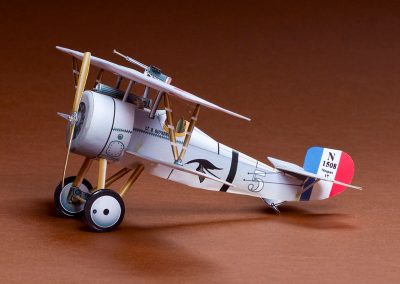 The Nieuport 17 (France).