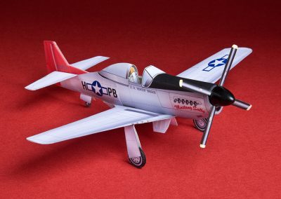 The P-51 Mustang.