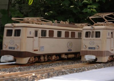 Some scale model commuter trains.