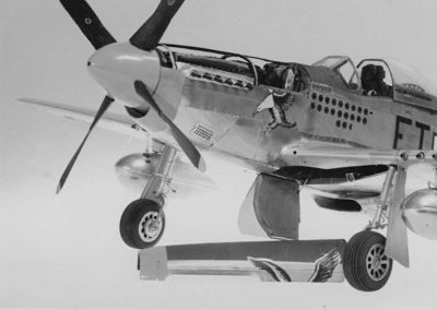 Guillermo's model of a P-51D Mustang.