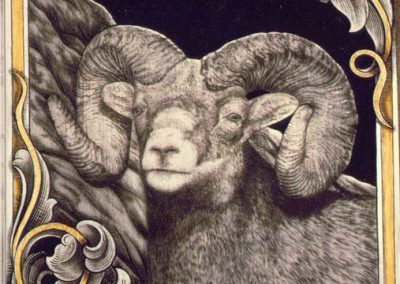A bighorn sheep engraving by Steve.