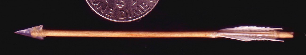 One of Dan’s microscopic arrowheads is attached to a miniature arrow.