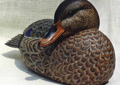 A carved female Ruddy Duck.
