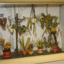 Model Frame of Plants and Flowers 